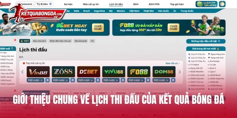 Giới thiệu chung về nền tảng Kết Quả Bóng Đá