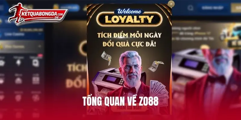 Tổng quan về ZO88